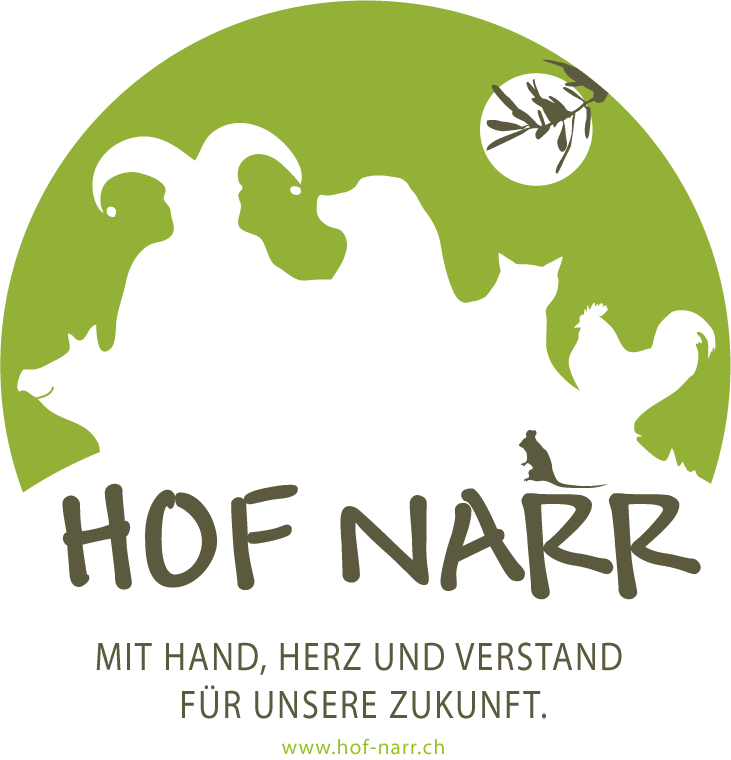 Hof Narr