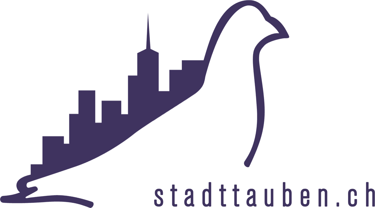 Stadttauben Schweiz